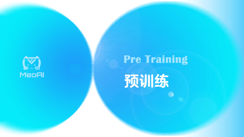 预训练Pre-training指南-MeoAI